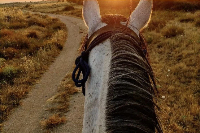 Ruta a Caballo y Clase de Iniciación Ecuestre (Colladillo, Segovia)