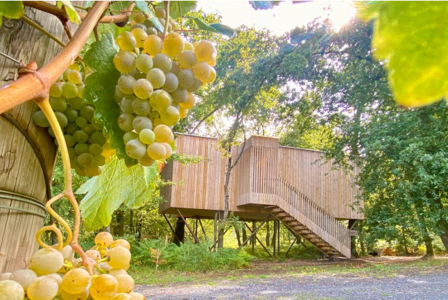 Escapada de 2 Noches en una Cabaña con Jacuzzi, Desayuno y Visita a Viñedos y Bodega (A Coruña)