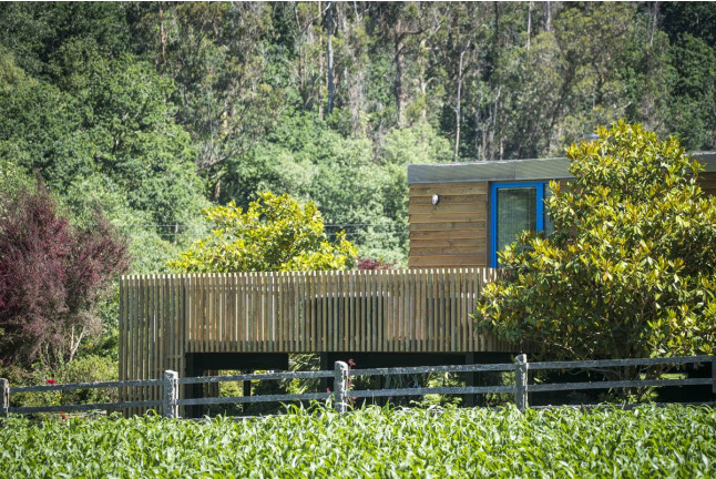 Escapada con Jacuzzi en Cabañitas del Bosque: A Cabanas de Carmen (Outes, A Coruña) - De domingo a jueves