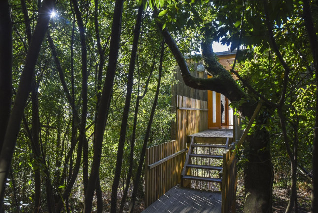 Escapada con Jacuzzi en Cabañitas del Bosque: Cabanas do Barranco (Outes, A Coruña) - De domingo a jueves