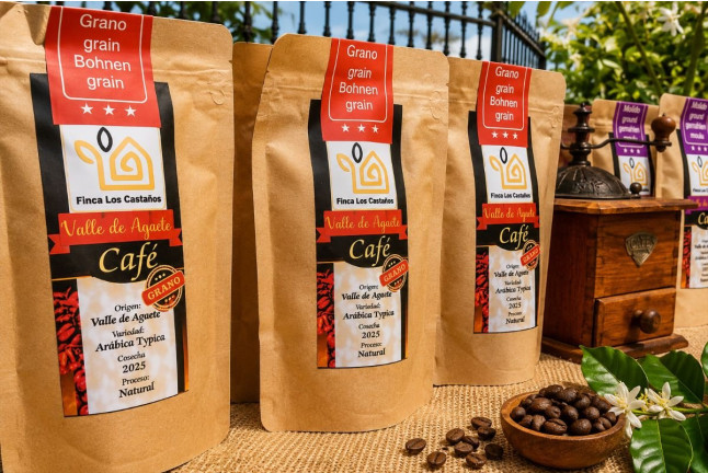 Tour y Degustación en Plantación de Café de Finca Los Castaños (Agaete, Las Palmas)