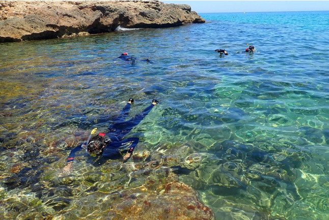 Ruta Guiada de Snorkel con Oceanógrafas (Les Tres Cales, Tarragona)