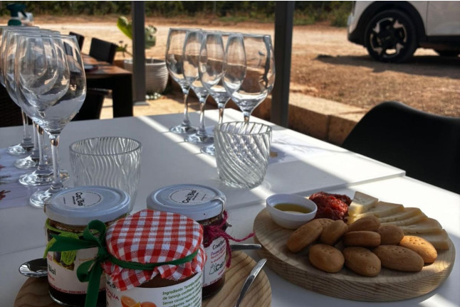 Visita Guiada, Cata de Vinos y Picada en Bodega Can Morgan (Mallorca)
