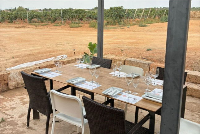 Visita Guiada, Cata de Vinos y Picada en Bodega Can Morgan (Mallorca)