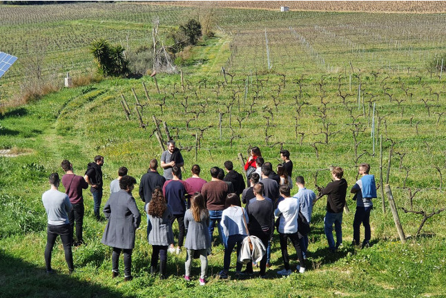 Visita a Celler Can Suriol con Cata de Vino, Cava y Aceite de Oliva para dos (Font-rubí, Barcelona)