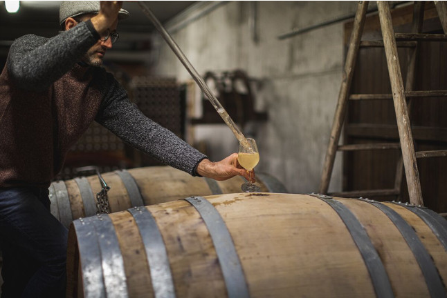 Visita a Celler Can Suriol con Cata de Vino, Cava y Aceite de Oliva para dos (Font-rubí, Barcelona)