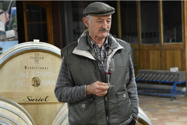 Visita a Celler Can Suriol con Cata de Vino, Cava y Aceite de Oliva para dos (Font-rubí, Barcelona)