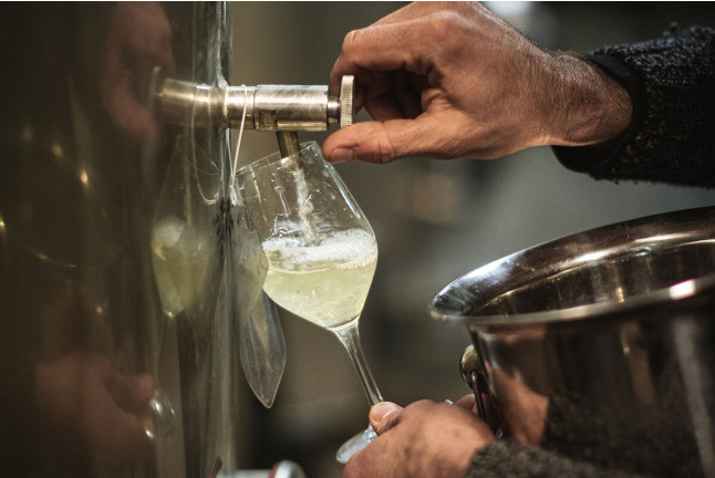 Visita a Celler Can Suriol con Cata de Vino, Cava y Aceite de Oliva para dos (Font-rubí, Barcelona)