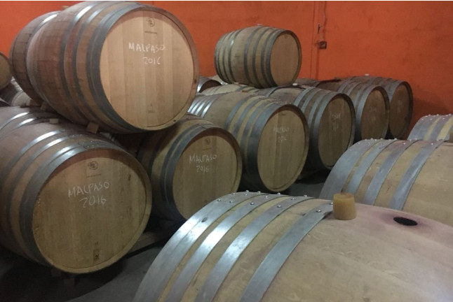 Visita Guiada a Bodegas Canopy, Cata de Vinos y Comida en Restaurante El Cigarral de Caravantes (Camarena, Toledo)
