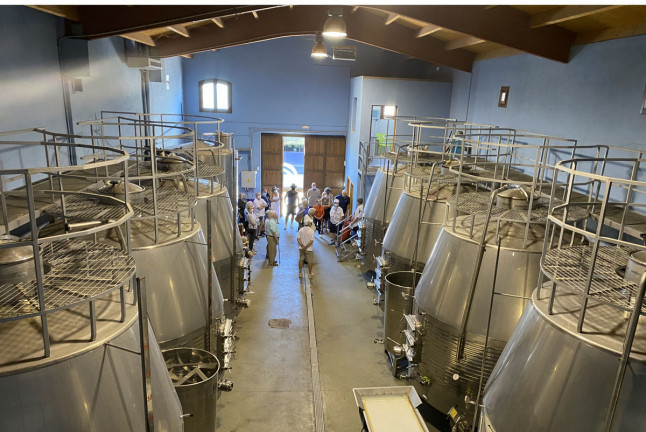 Escapada con Desayuno en Casa Rural Aloe Vera y Visita a Bodegas Perfer con Cata de Vinos y Aperitivos (Almería)