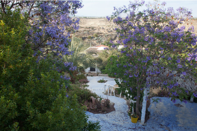 Escapada con Desayuno en Casa Rural Aloe Vera (Huércal-Overa, Almería)