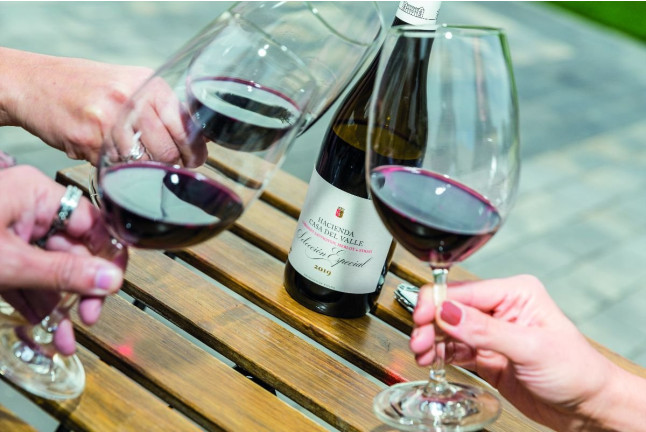 Visita a los Viñedos, Bodega y Cata de Vinos en Bodegas y Viñedos Casa del Valle (Yepes, Toledo)