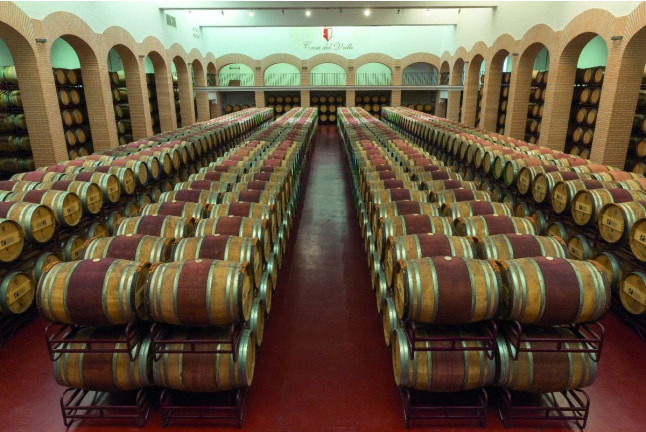 Visita a los Viñedos, Bodega y Cata de Vinos en Bodegas y Viñedos Casa del Valle (Yepes, Toledo)