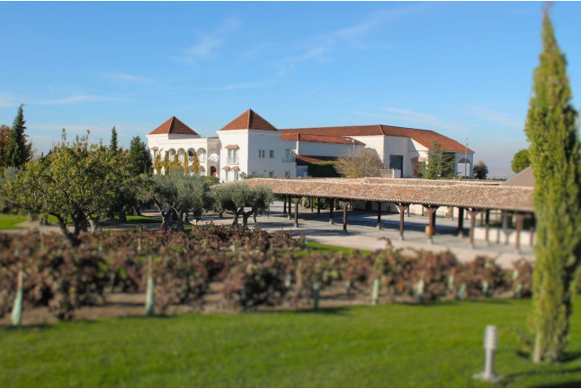 Visita a los Viñedos, Bodega y Cata de Vinos en Bodegas y Viñedos Casa del Valle (Yepes, Toledo)