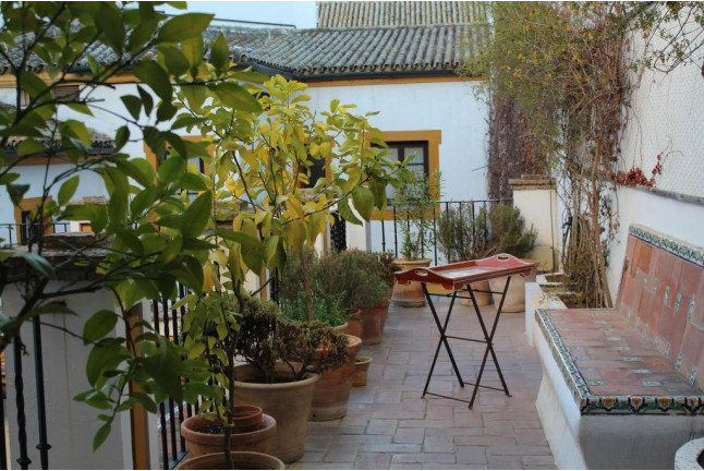 Escapada en Hotel 4* y Viaje en Globo con Desayuno y Cava (Sevilla)