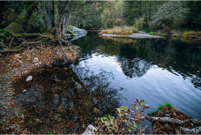 Escapada de 2 Noches con Cena en Casa Rural Aguas Frías *** (La Omañuela, León)