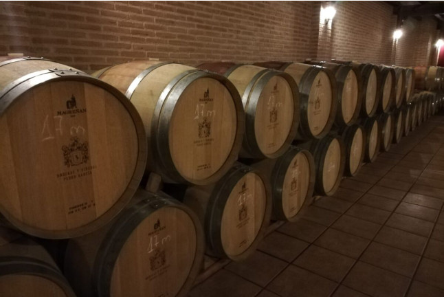 Escapada en Casa Rural y Visita con Cata en Bodegas y Viñedos Pedro García (Colmenar de Oreja, Madrid)