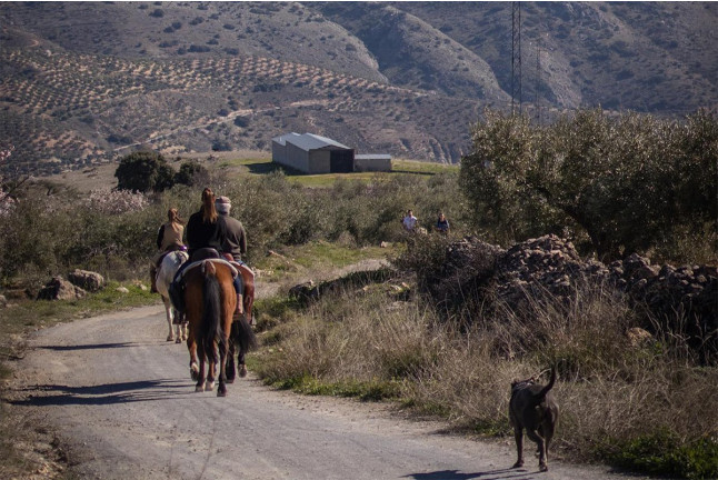 Escapada en Casa Rural con Paseo a Caballo (Granada)
