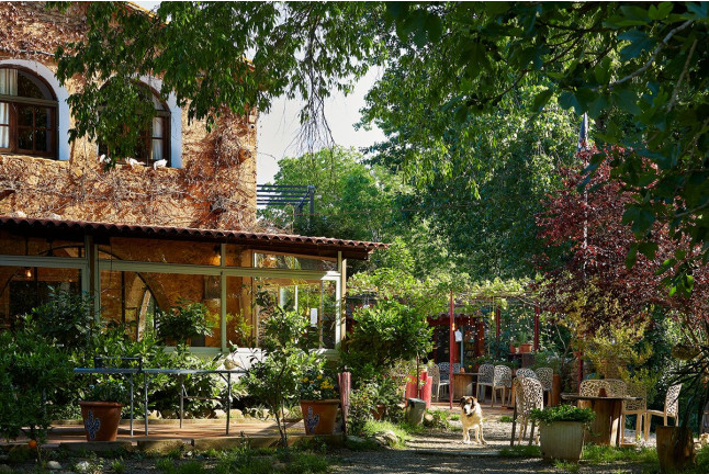 Escapada con Cena en Casa Rural Mas Torrencito - Pet friendly (Parets d'Empordà, Girona)