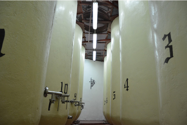 Escapada en Casa Rural Santa Ana y Visita a Bodega Campos de Dulcinea con Cata de Vinos para dos (Toledo)