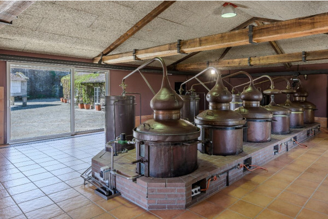 Escapada en Casa Rural Pazo Larache y Visita a Bodega Pazo de Señorans con Cata de Vino y Aguardientes para dos (Pontevedra) 