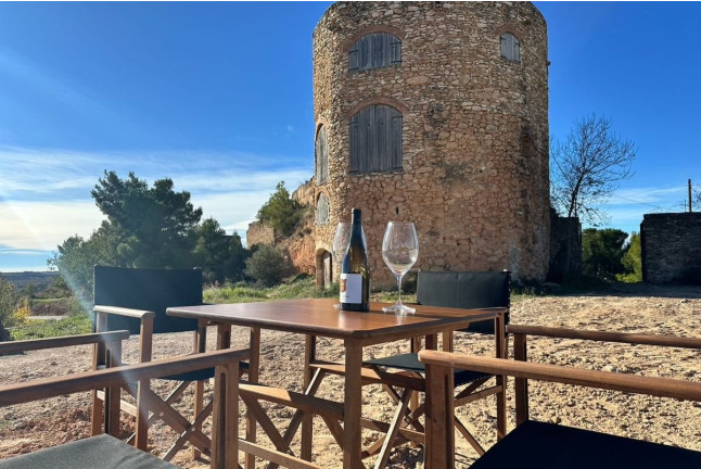 Tour & Tasting: Visita al Castell de Vilarodona y Cata de Vino para dos (Tarragona)