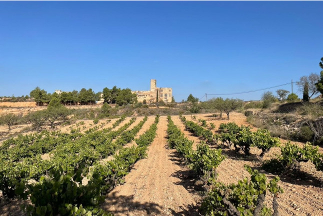 Tour & Tasting: Visita al Castell de Vilarodona y Cata de Vino para dos (Tarragona)