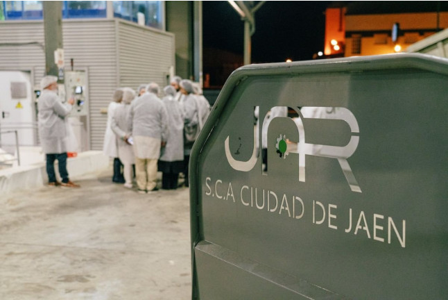 Tras las Puertas de la Almazara: Visita Guiada y Cata de Aceite (Jaén)