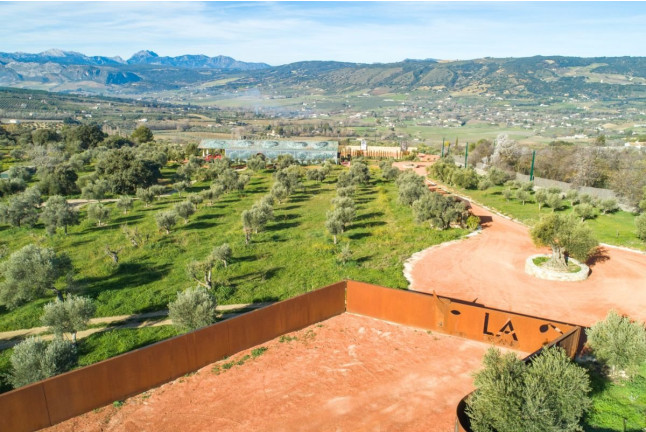 Visita Premium: Visita a LA Almazara y Museo del AOVE con Cata de AOVE y Degustación de Aceites (Ronda, Málaga)