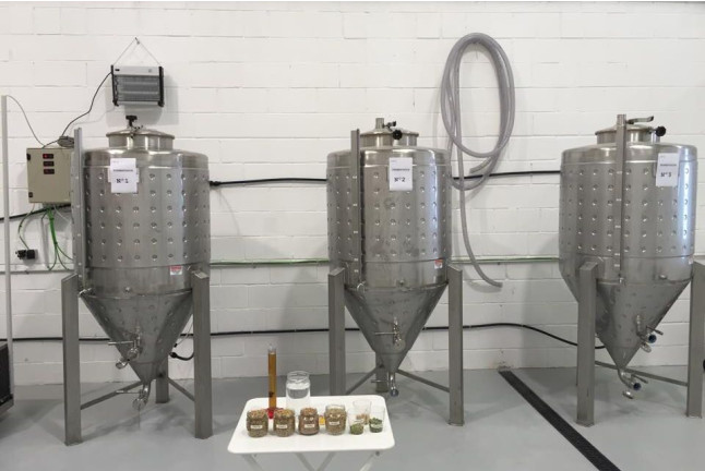 Visita a Fábrica Mond con Cata de Cerveza para dos (Sevilla)