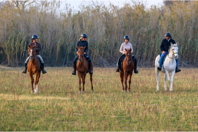 El Viñedo Verde del Empordà a Caballo: Ruta a Caballo, Visita a la Bodega y Cata de Vinos en Clos de Basella (Siurana, Girona)