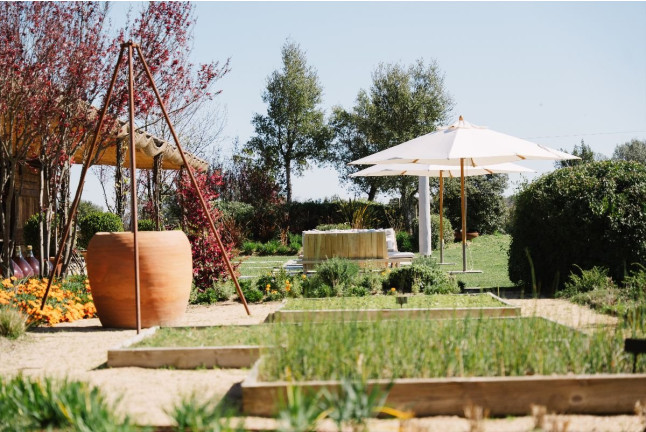 El Viñedo Verde del Empordà a Caballo: Ruta a Caballo, Visita a la Bodega y Cata de Vinos en Clos de Basella (Siurana, Girona)