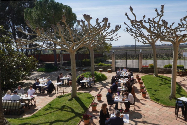 Visita a Bodega con Cata de Vinos y Croquetas en Caves Nadal (Torrelavit, Barcelona)