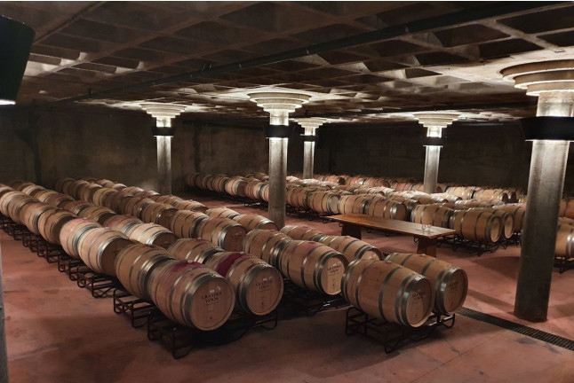 Visita a Cooperativa Vitícola de San José con Cata de Vinos para dos (Aguarón, Zaragoza)