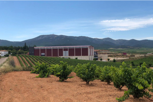 Visita a Cooperativa Vitícola de San José con Cata de Vinos para dos (Aguarón, Zaragoza)