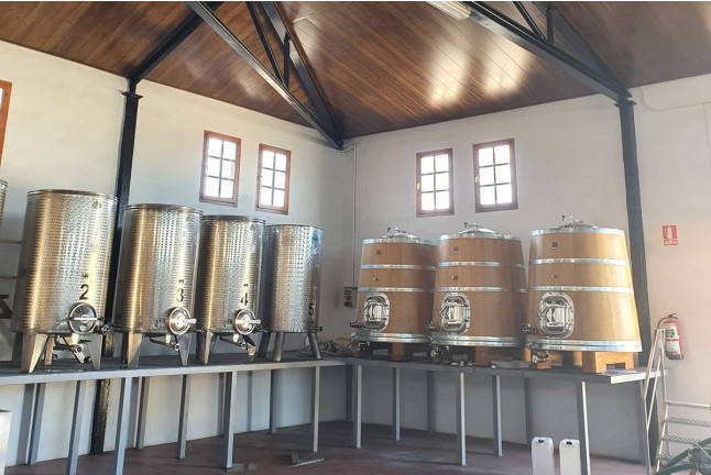 Visita a Cooperativa Vitícola de San José con Cata de Vinos para dos (Aguarón, Zaragoza)
