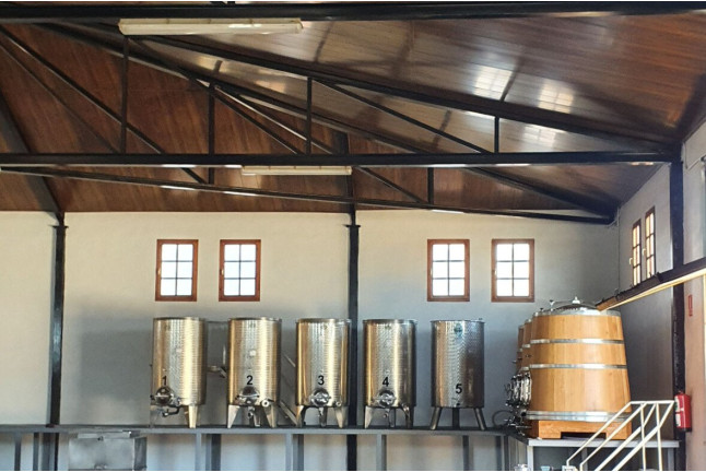 Visita a Cooperativa Vitícola de San José con Cata de Vinos para dos (Aguarón, Zaragoza)