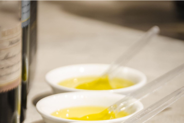 Visita Premium: Visita Guiada a Bodega Mas de Rander y Viñas con Cata de 5 Vinos y Aceite (Torreblanca, Castellón)