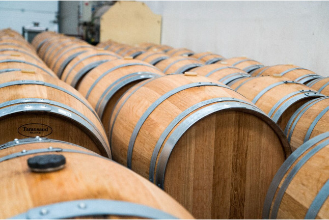 Visita a Almazara y a Bodega Emina Rueda con Cata de Aceites y Vinos (Valladolid)