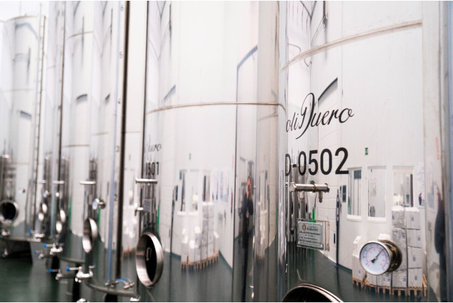 Visita a Almazara y a Bodega Emina Rueda con Cata de Aceites y Vinos (Valladolid)