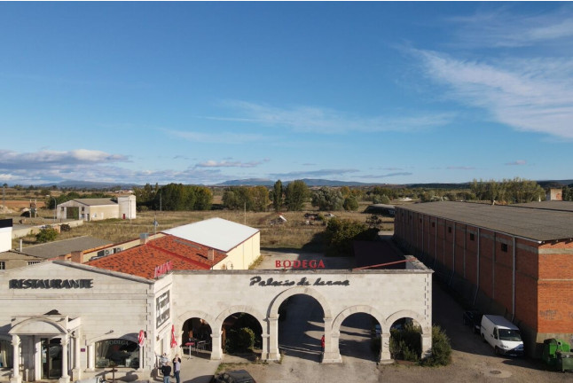 Visita a las Bodegas Palacio de Lerma con Cata de 4 Vinos a Ciegas (Lerma, Burgos)