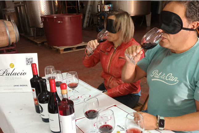 Visita a las Bodegas Palacio de Lerma con Cata de 4 Vinos a Ciegas (Lerma, Burgos)
