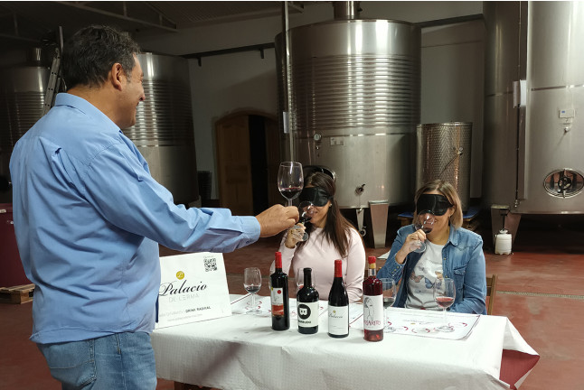 Visita a las Bodegas Palacio de Lerma con Cata de 4 Vinos a Ciegas (Lerma, Burgos)
