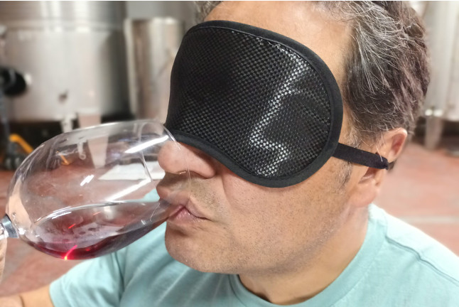 Visita a las Bodegas Palacio de Lerma con Cata de 4 Vinos a Ciegas (Lerma, Burgos)