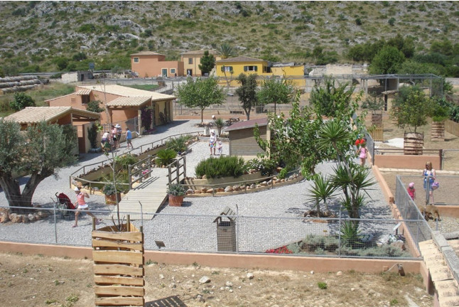 Cata de Vinos y Productos Locales (Mallorca)