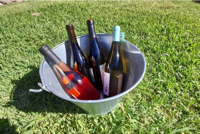 Cata de Vinos y Productos Locales (Mallorca)