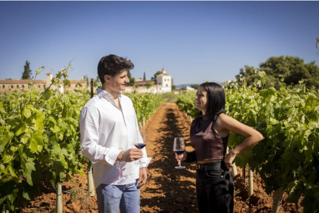 Visita a Bodega Raíces Ibéricas y Cata de Vinos para dos en Finca Calderón (Requena, Valencia)