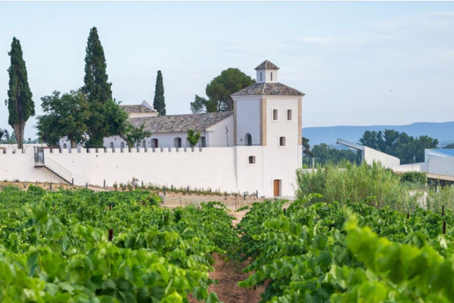 Visita a Bodega Raíces Ibéricas y Cata de Vinos para dos en Finca Calderón (Requena, Valencia)