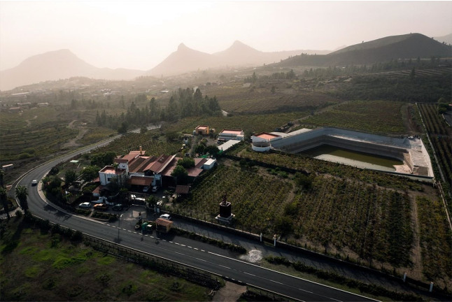 Visita a Bodegas Reverón con Cata de Vinos y Picoteo (Villaflor, Tenerife)