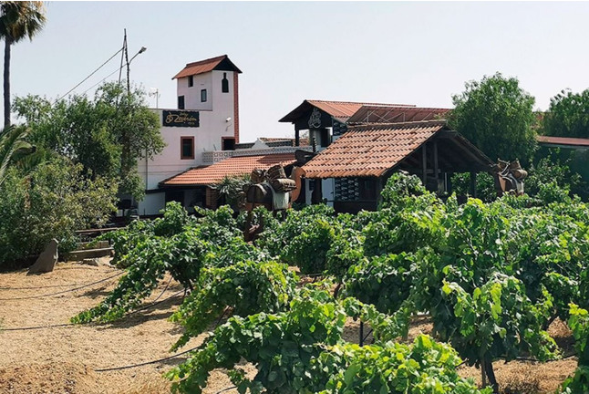 Visita a Bodegas Reverón con Cata de Vinos y Picoteo (Villaflor, Tenerife)